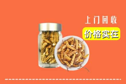 收购资讯:西宁市城北回收散虫草