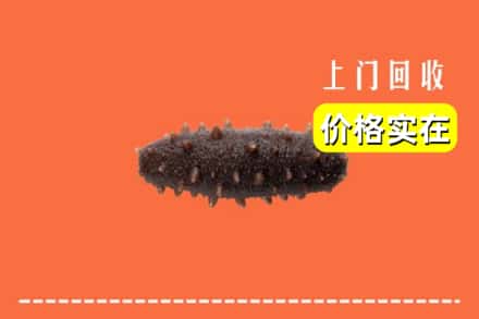 收购资讯:西宁市城北回收海参