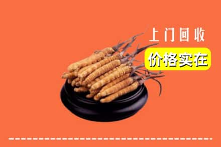 西宁市城北回收冬虫夏草